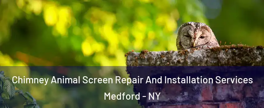  Chimney Animal Screen Repair And Installation Services Medford - NY