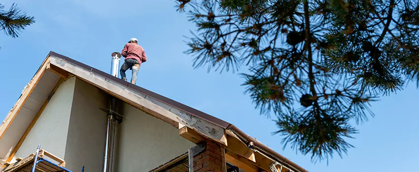 Birds Removal Contractors from Chimney in Medford, NY